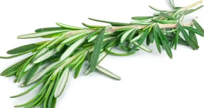 Benefits of Rosemary